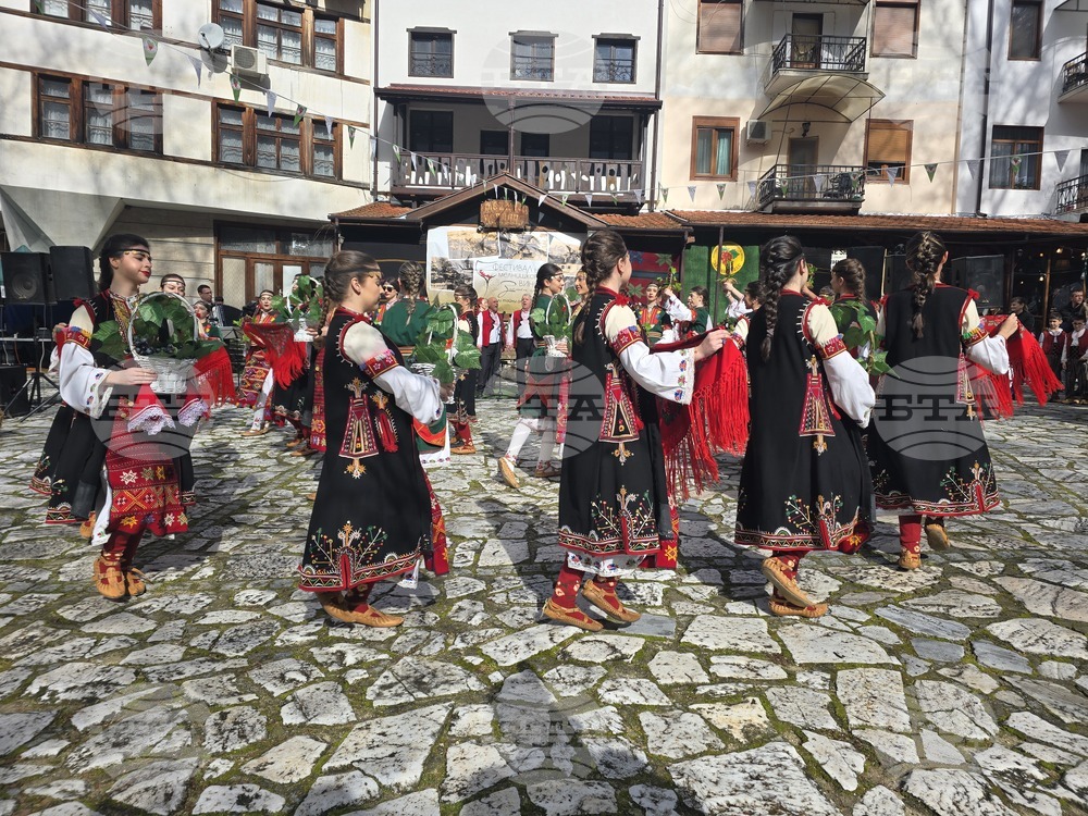 Мелник - фестивал "Златен грозд"