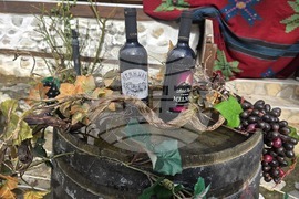 Мелник - фестивал "Златен грозд"