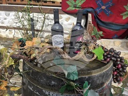 Мелник - фестивал "Златен грозд"