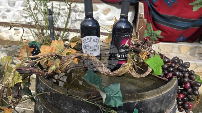 Фестивалът „Златен грозд“ 2026 събра гости и винопроизводители в Мелник