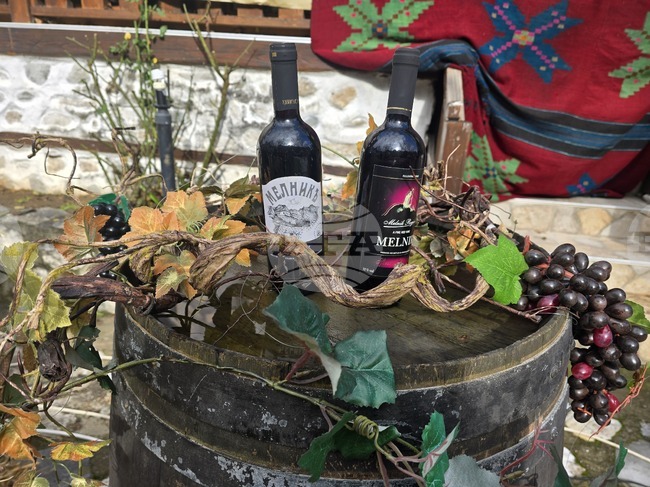 Фестивалът „Златен грозд“ 2026 събра гости и винопроизводители в Мелник