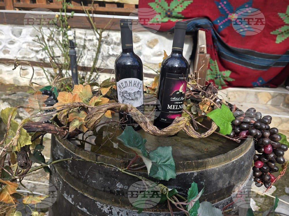 Мелник - фестивал "Златен грозд"