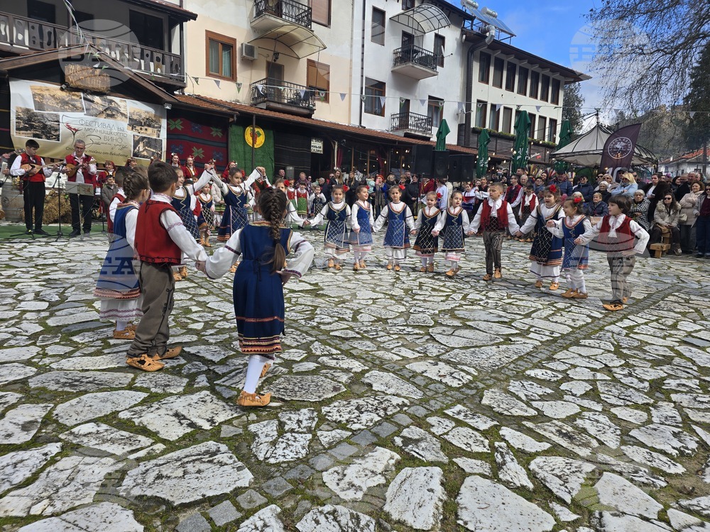 Мелник - фестивал "Златен грозд"