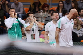 Пловдив - тенис на корт - купа „Дейвис“ - България - Белгия