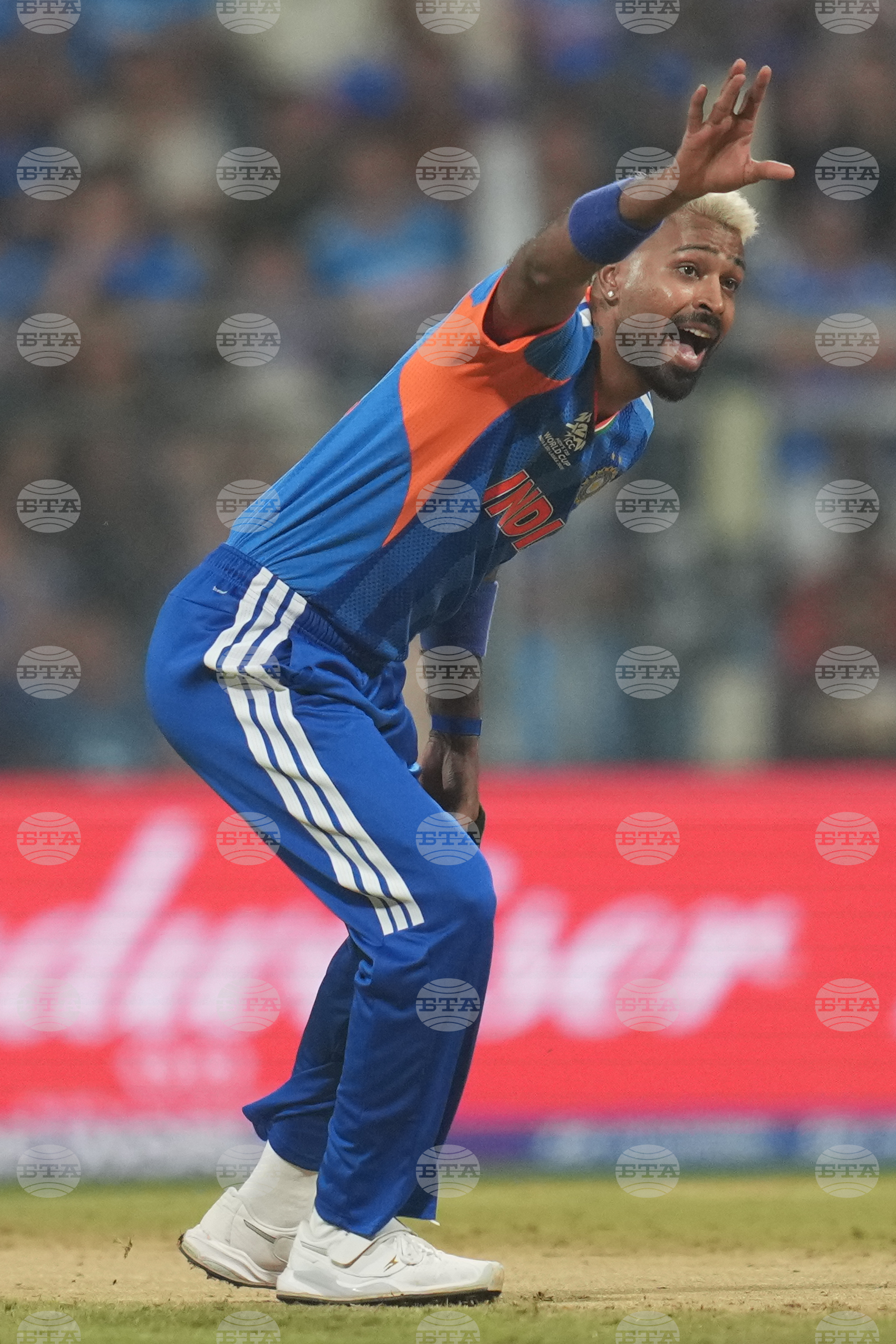 India US T20 WCup Cricket