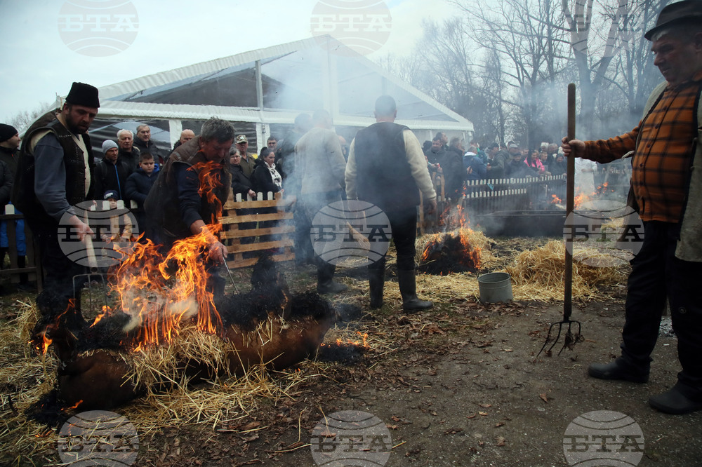 Сърбия - празник