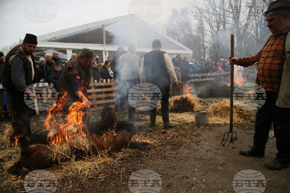 Сърбия - празник