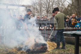 Сърбия - празник
