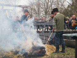 Сърбия - празник