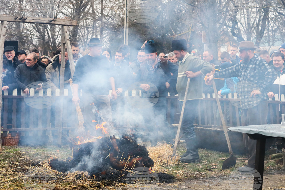 Сърбия - празник