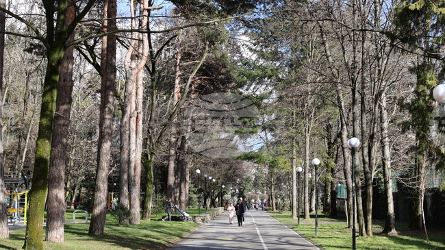 В община Гоце Делчев ще бъде извършена планова дезакаризация на зелените площи и детските площадки