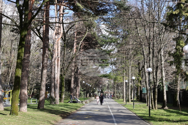 В община Гоце Делчев ще бъде извършена планова дезакаризация на зелените площи и детските площадки