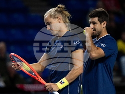 Davis Cup Canada Brazil Tennis