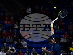 Davis Cup Canada Brazil Tennis