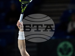 Davis Cup Canada Brazil Tennis