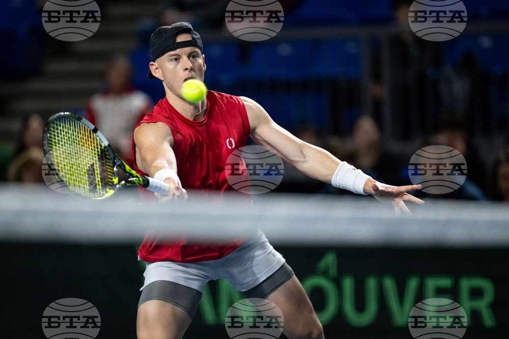 Davis Cup Canada Brazil Tennis