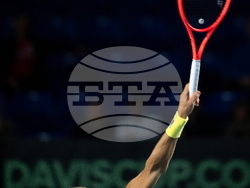 Davis Cup Canada Brazil Tennis