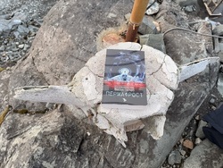 Антарктида - 34-та българска антарктическа експедиция - Васил Попов - "Пермафрост"