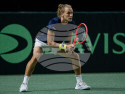 Davis Cup Canada Brazil Tennis