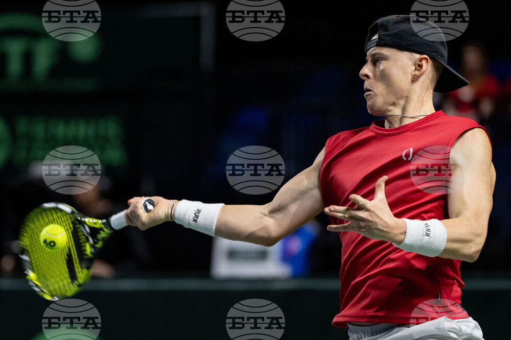 Davis Cup Canada Brazil Tennis