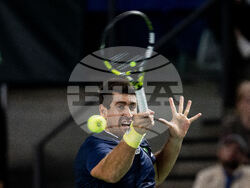 Davis Cup Canada Brazil Tennis