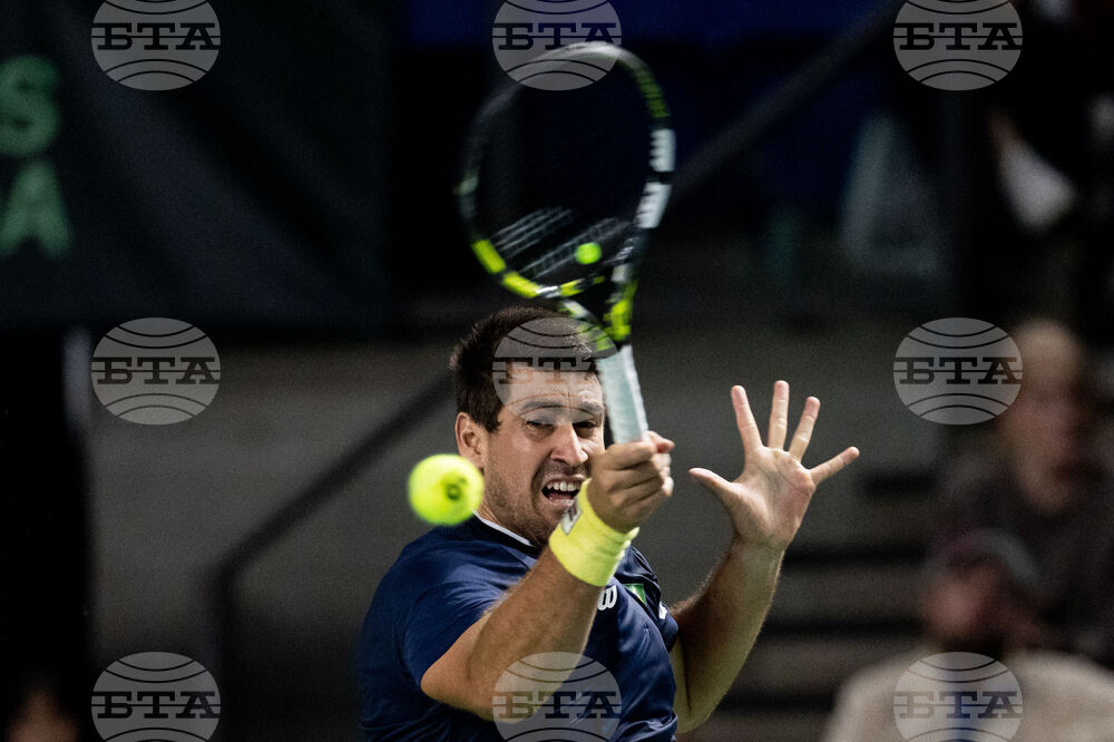 Davis Cup Canada Brazil Tennis