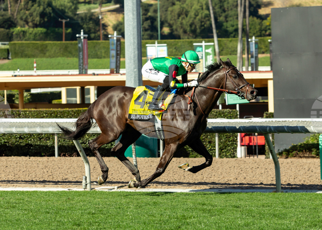 Santa Anita Horse Racing