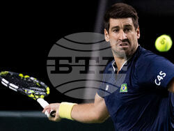 Davis Cup Canada Brazil Tennis