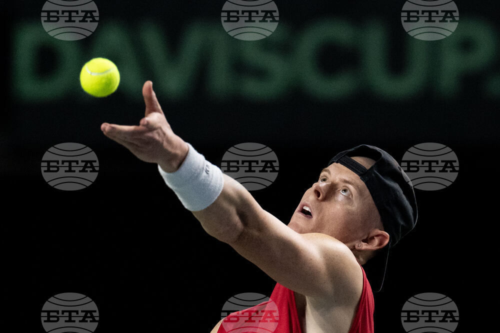 Davis Cup Canada Brazil Tennis