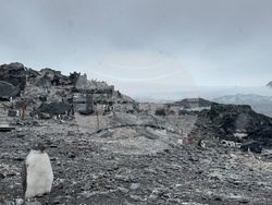 Антарктида - 34-та българска антарктическа експедиция - научноизследователски кораб "Св. св. Кирил и Методий"