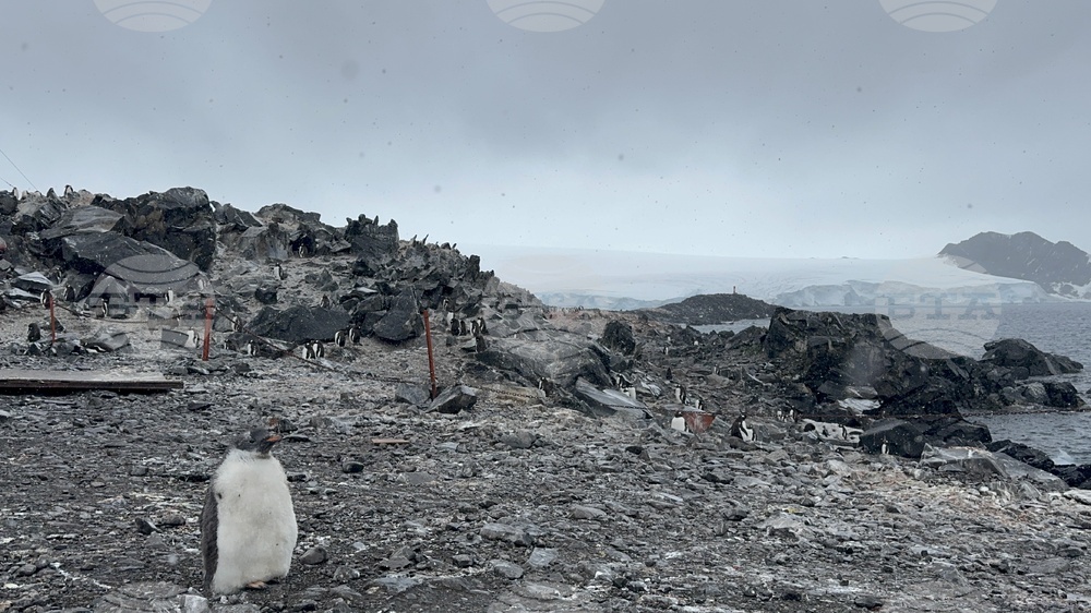 Антарктида - 34-та българска антарктическа експедиция - научноизследователски кораб "Св. св. Кирил и Методий"