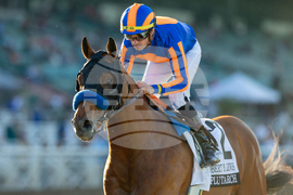Santa Anita Horse Racing