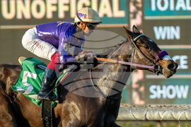 Santa Anita Horse Racing