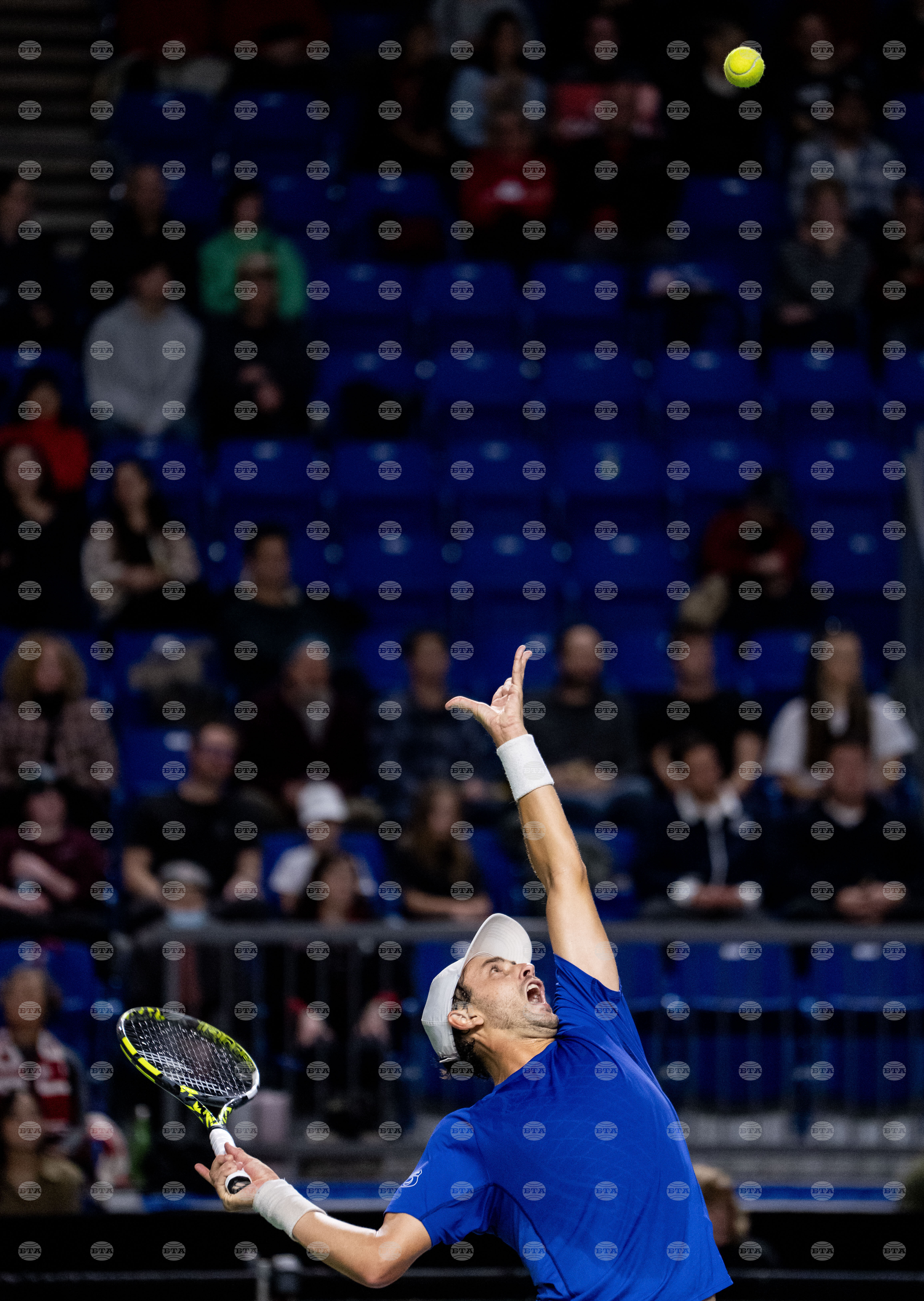 Davis Cup Canada Brazil Tennis