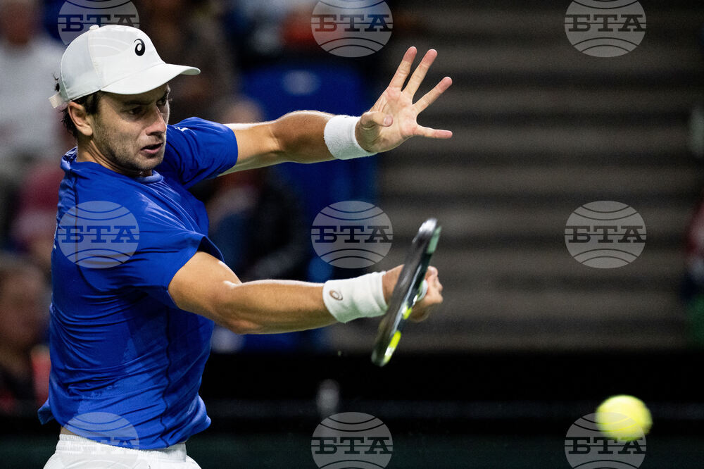 Davis Cup Canada Brazil Tennis