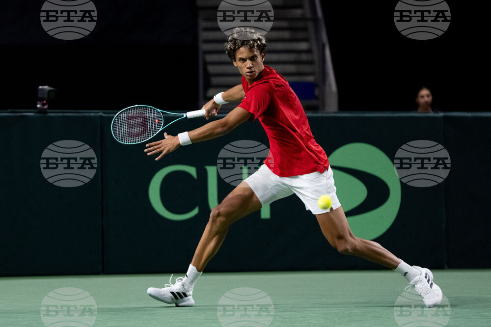 Davis Cup Canada Brazil Tennis