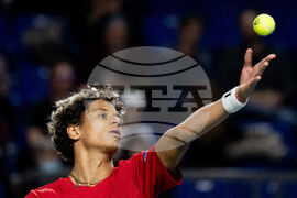 Davis Cup Canada Brazil Tennis