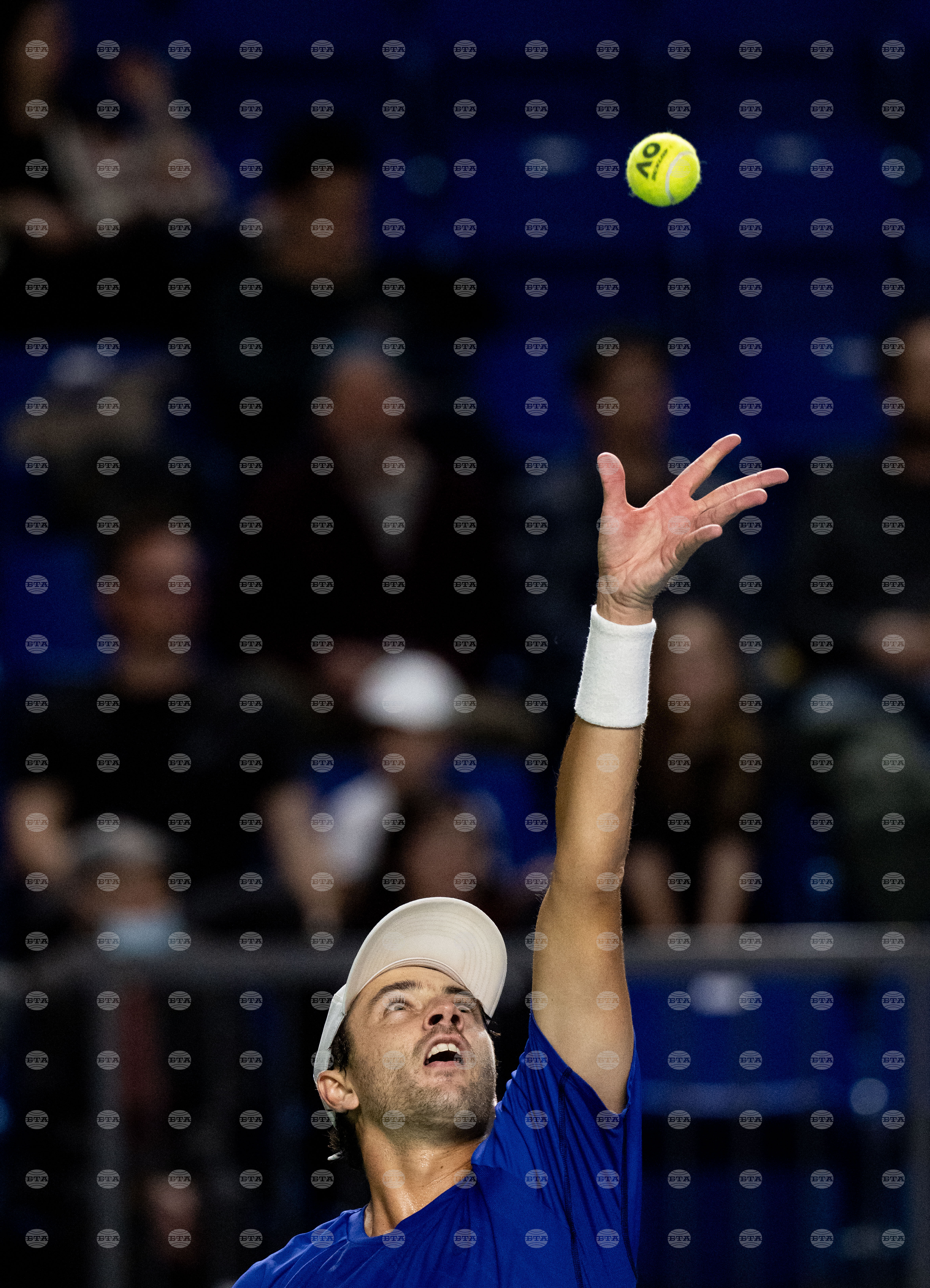 Davis Cup Canada Brazil Tennis