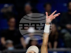 Davis Cup Canada Brazil Tennis