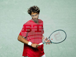 Davis Cup Canada Brazil Tennis