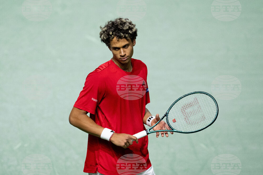 Davis Cup Canada Brazil Tennis