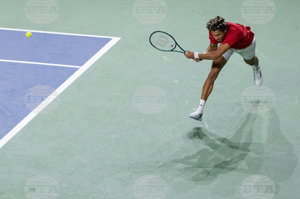 Davis Cup Canada Brazil Tennis