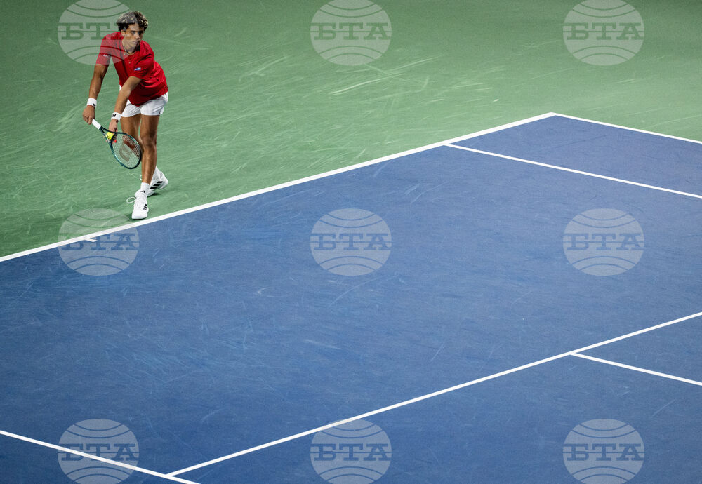 Davis Cup Canada Brazil Tennis