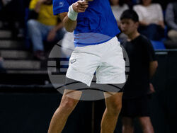 Davis Cup Canada Brazil Tennis