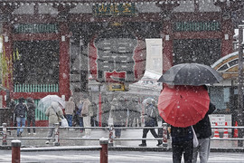 Japan Weather