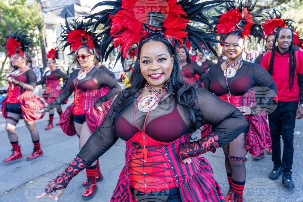 2026 Mardi Gras Parades