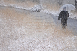 Japan Weather