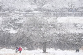 Japan Weather