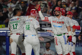 Mexico Baseball