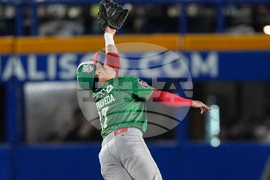 Mexico Baseball